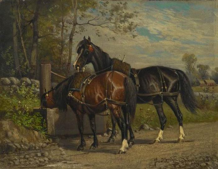 unknow artist Two Horses at a Wayside Trough Norge oil painting art